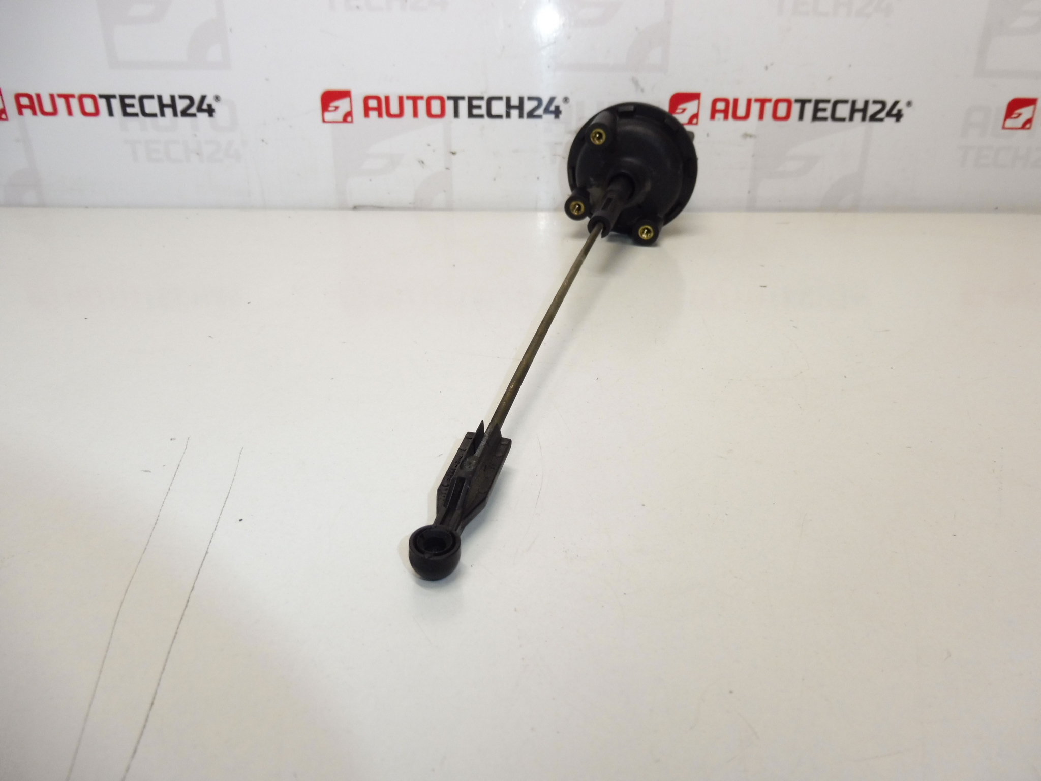 Atuador do acelerador a vácuo Citroën Peugeot 9634638580 036387