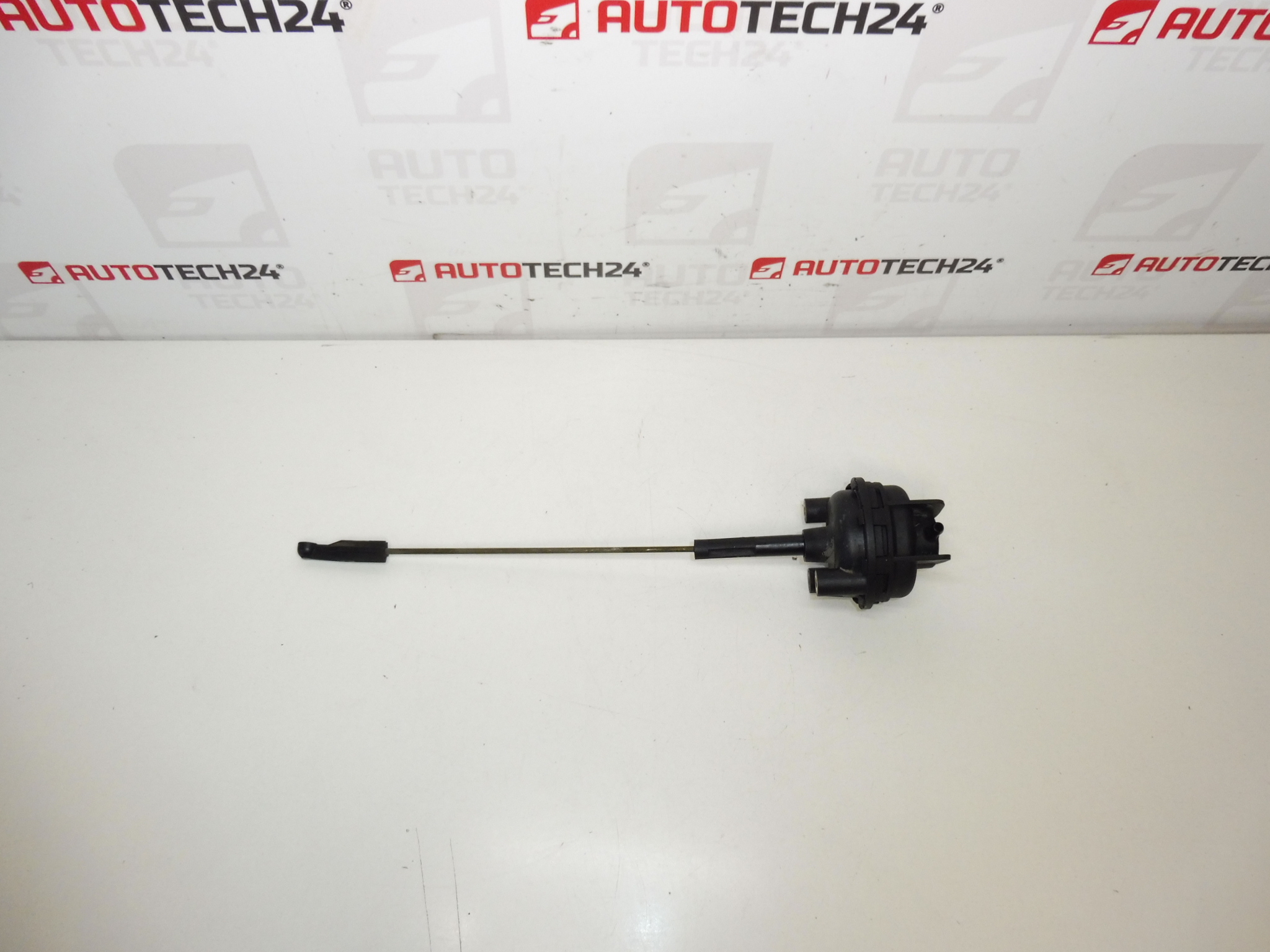 Atuador do acelerador a vácuo Citroën Peugeot 9634638580 036387