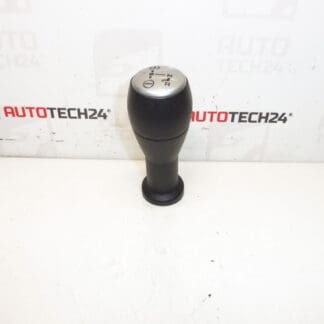 Cabeças Sensodrive Citroën Peugeot 2403Z2