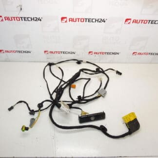 Citroen C4 Picasso Valeo 6505W3 5243586 Pacote de assento