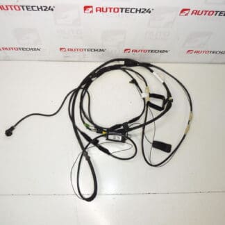 Cabo de antena Citroën C8 Peugeot 807 1489134080 1494844080
