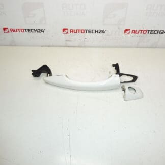 Citroën Peugeot DS EWP 9101LV Driving Porta da porta