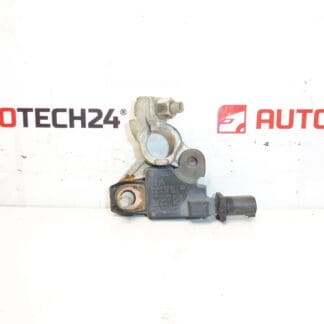 Citroën Peugeot 9666919780 unidade de pólo negativo