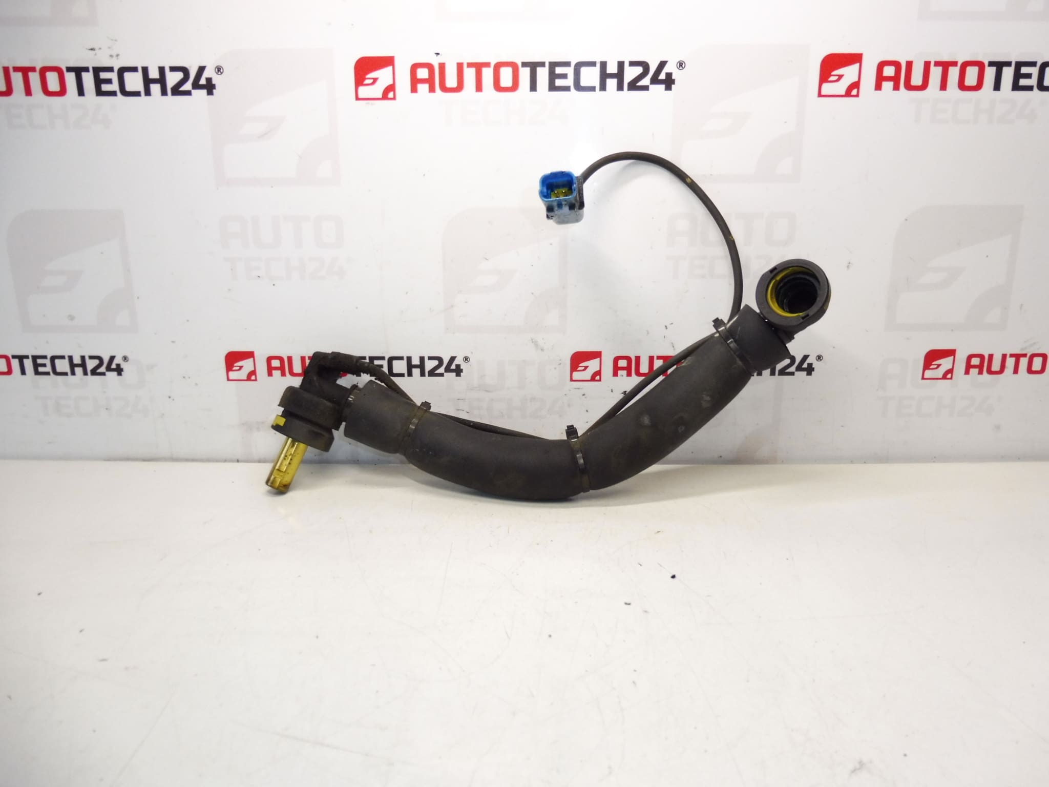 Conexão do Citroën Peugeot 1.8 16V e 2