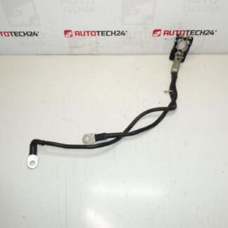 Um pacote positivo para a bateria Citroën Peugeot 1612229980