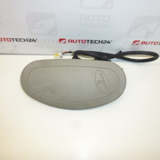 Airbag Lateral Citroën C5 I e II 96391352ZW 8216GN