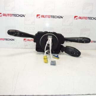 Citroën Peugeot 96605590XT 624297 Controles de alavanca