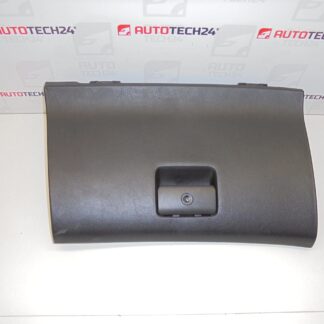 Caixa de Armazenamento Peugeot 307 8220TZ