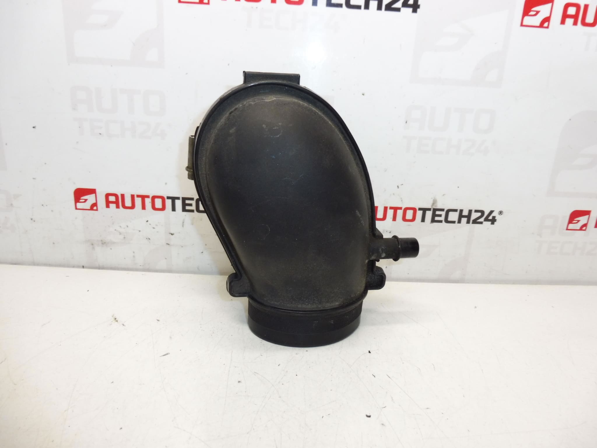 Conexão Citroën Peugeot 2.0 i 9641733880 143431
