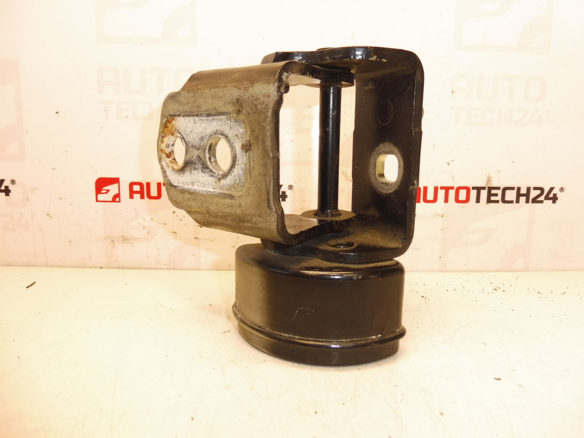 dobradiça da porta dianteira direita EXLD Peugeot 207 9035T4