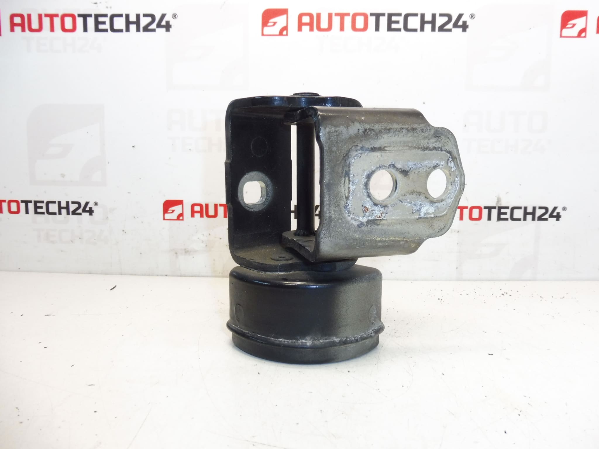 dobradiça da porta dianteira esquerda EXLD Peugeot 207 9035T5