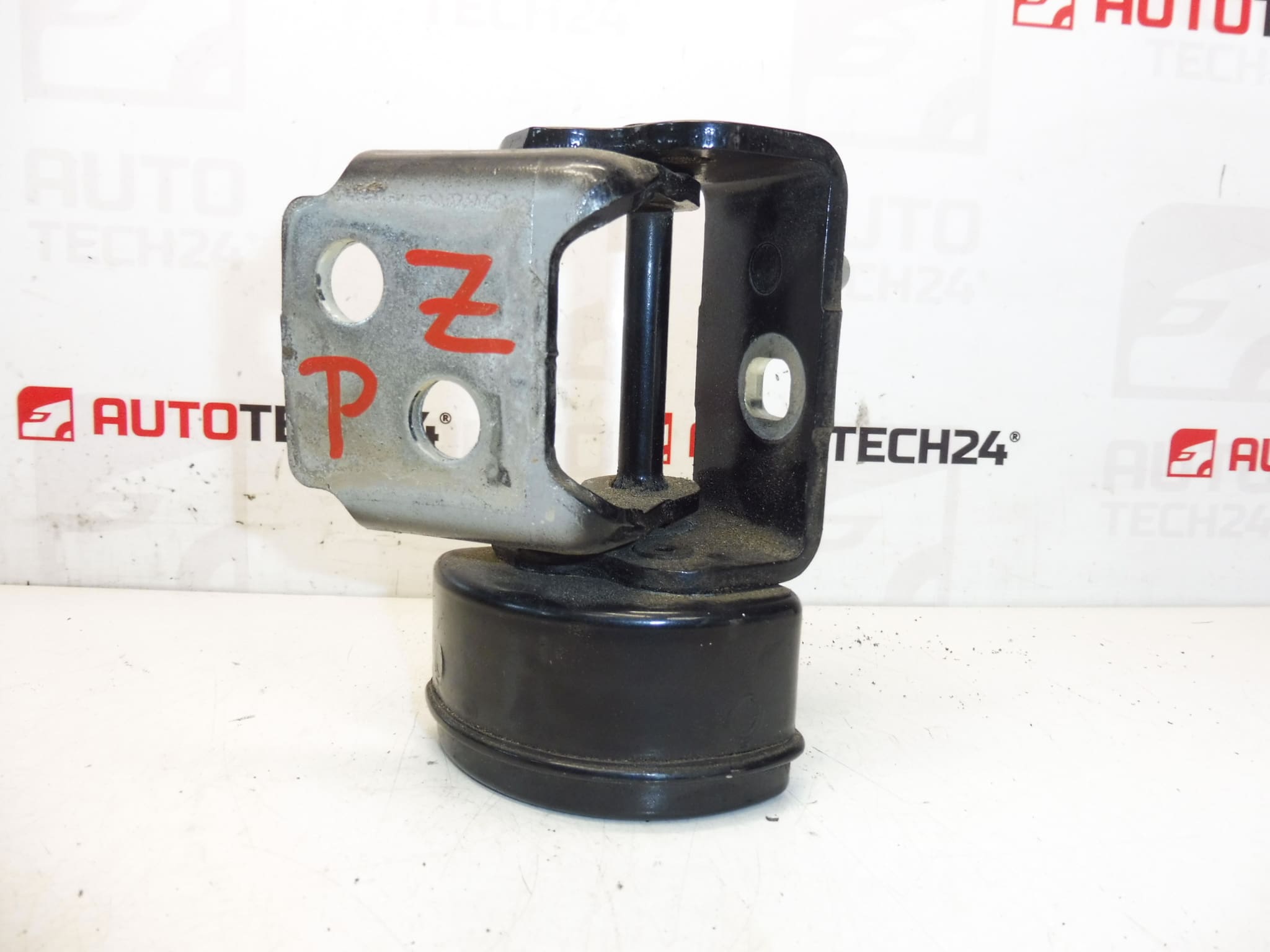 dobradiça da porta traseira direita EXLD Peugeot 207 9037C0
