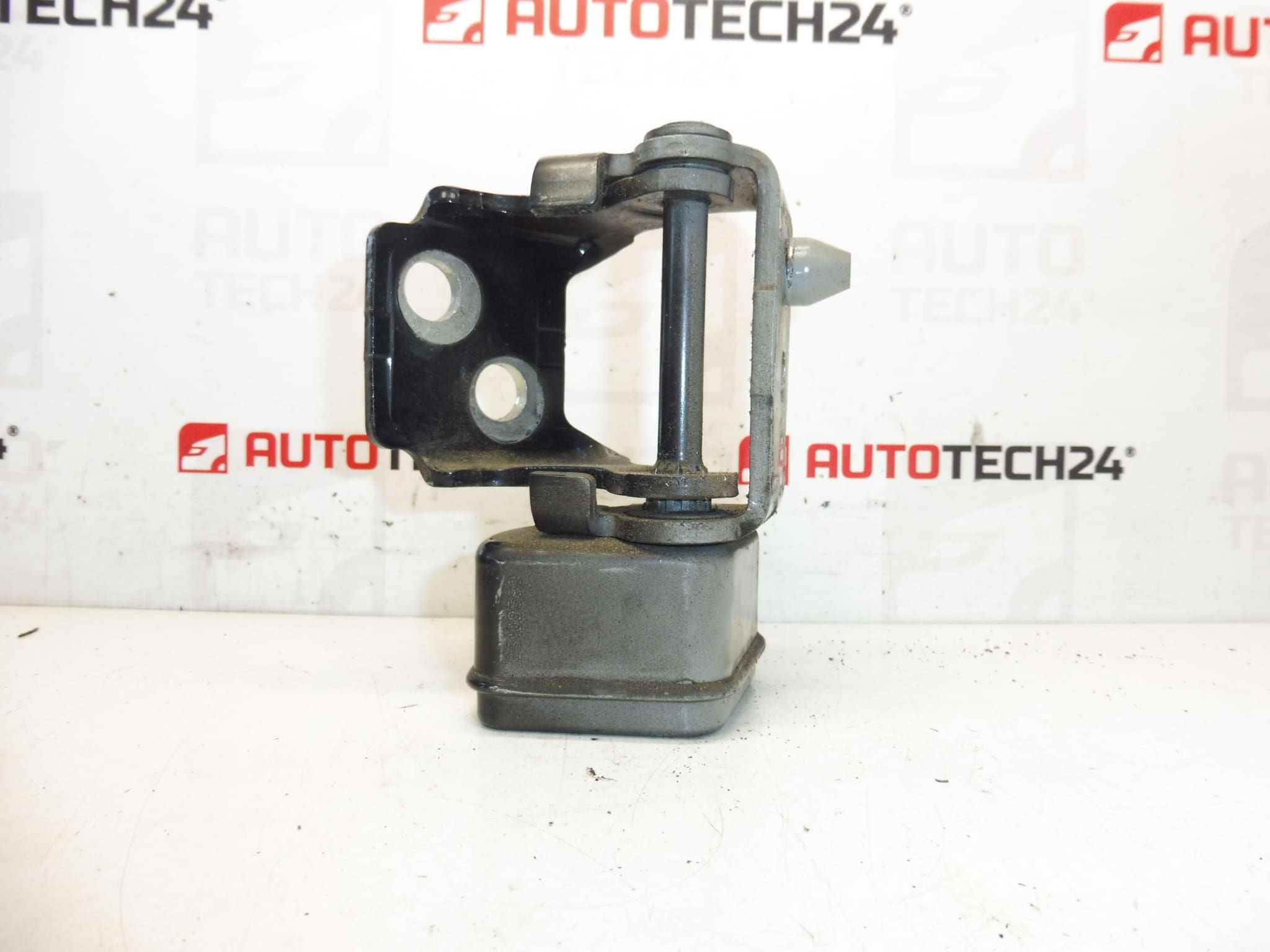 dobradiça da porta traseira esquerda EXLD Peugeot 207 9037C1