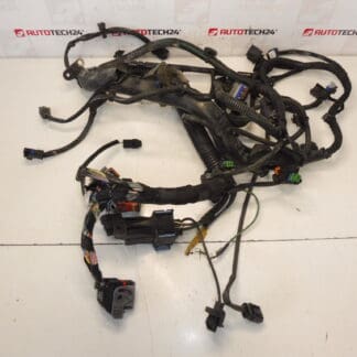 Arnês Citroën Peugeot 2.0HDI RHJ 9684608680 6569RY