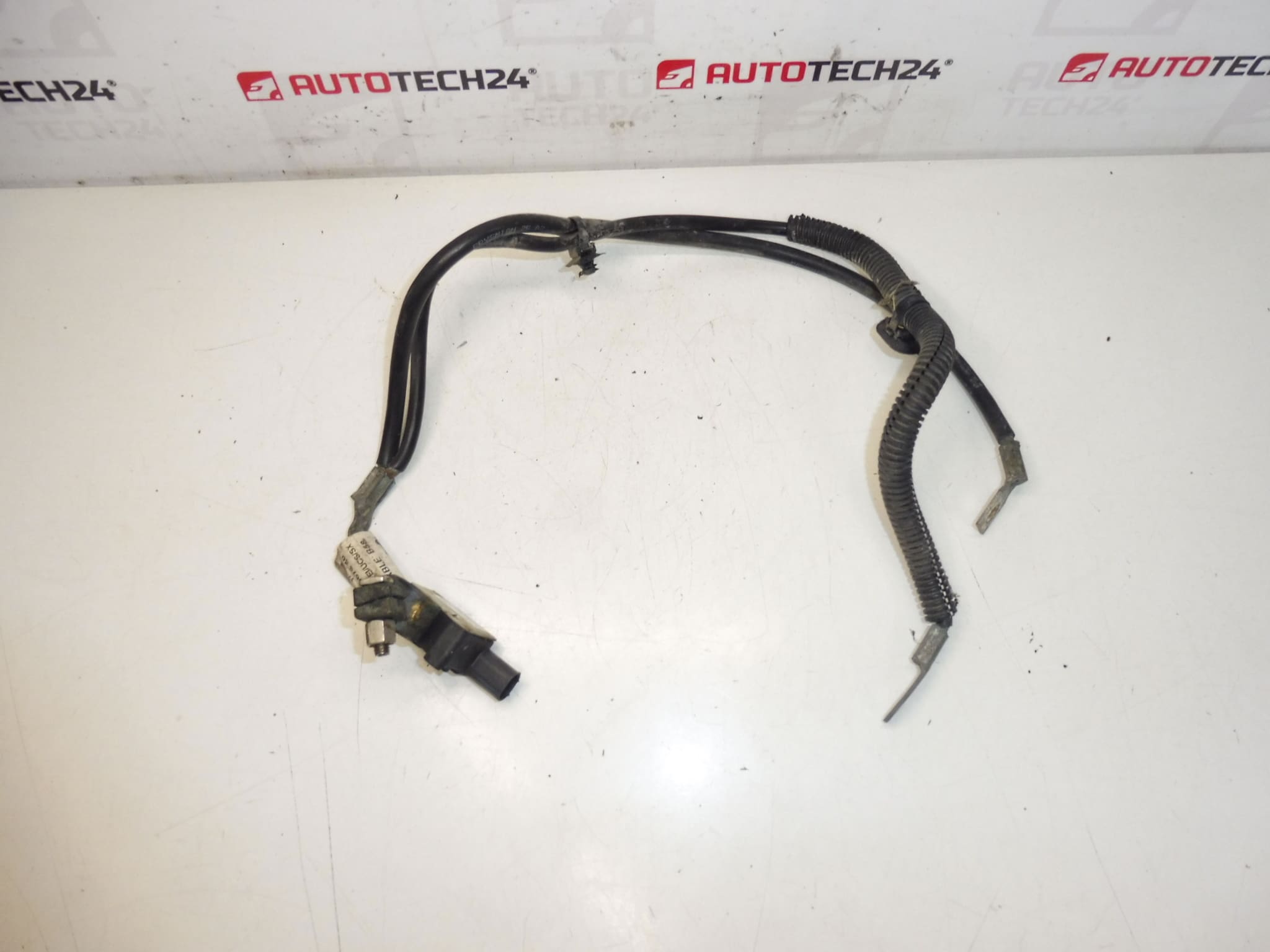 Cabo pólo negativo Citroën Peugeot 2.0HDI 9664067880 5638SP