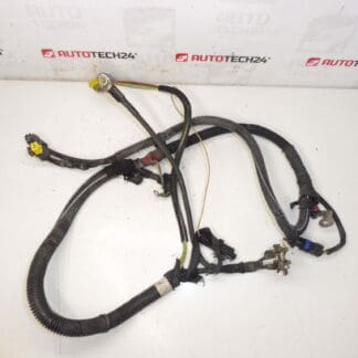 Chicote positivo Citroën Peugeot 2.0HDI 9658054180 5642LP